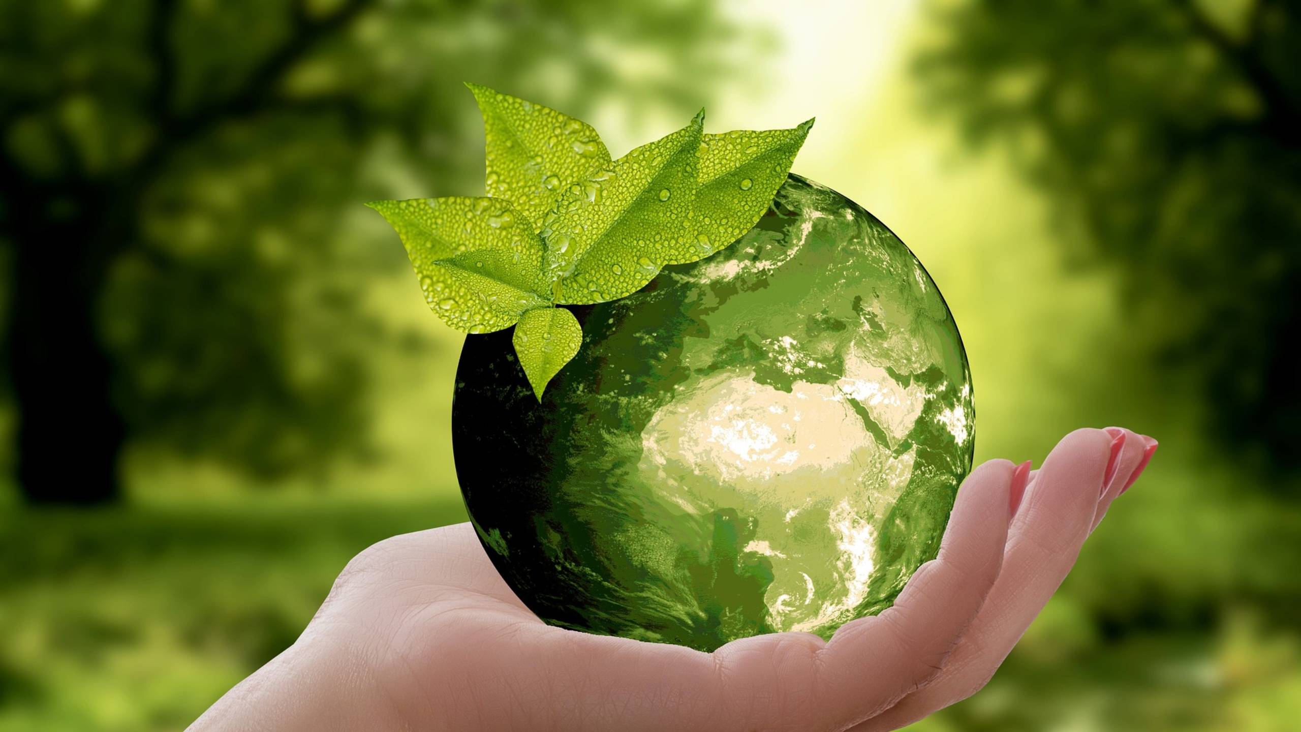 Sustentabilidad ESG Bglobalm